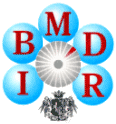 Logo IBMDR